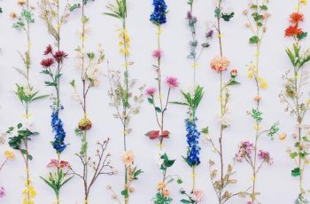 Top 10 Trends That Will Reign In Your Home This 2021 Edecortrends