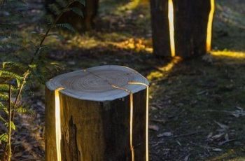 Modern Backyard Light Ideas – Make Your Garden Magical