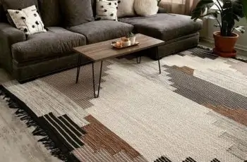 Rug Trends 2024-2025 By Interior Designers