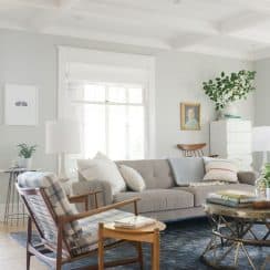 Mid Century Modern Paint Colors Living Room