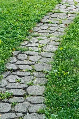 Stone over grass front walkway idea
