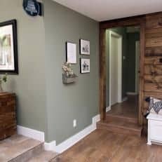 Rustic sage green living room with wooden accent wall